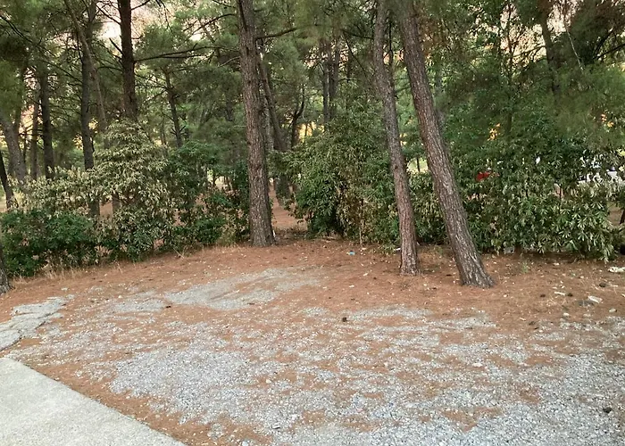 Appartement Stan Na Dan Bogdan *